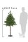 Artificial Christmas Tree - Pet and Toddler Safe, Metal Stand, Realistic Pine Branches, Top Half